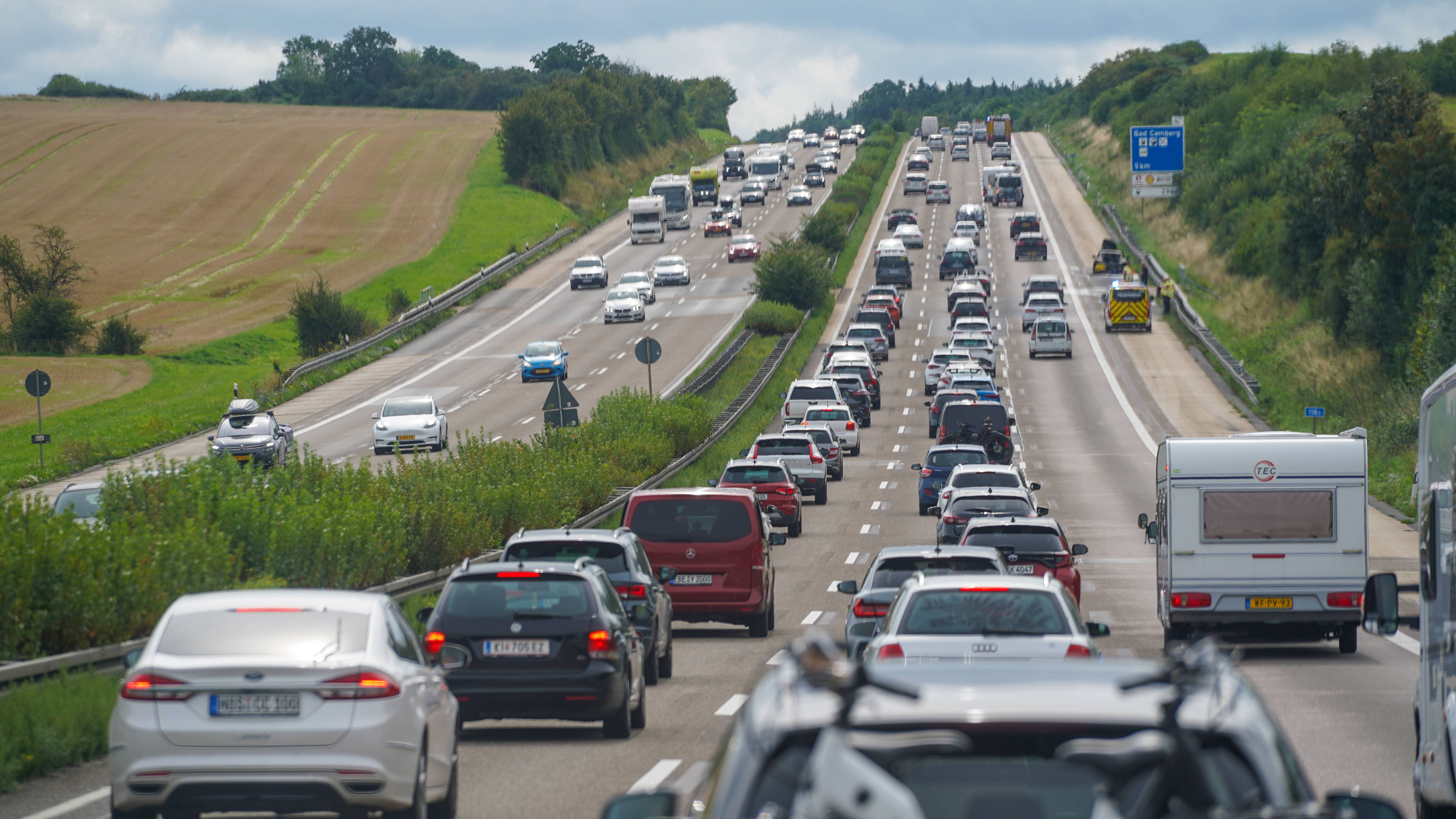 Neue EU-Verordnung trifft Millionen Urlauber mit Haustieren