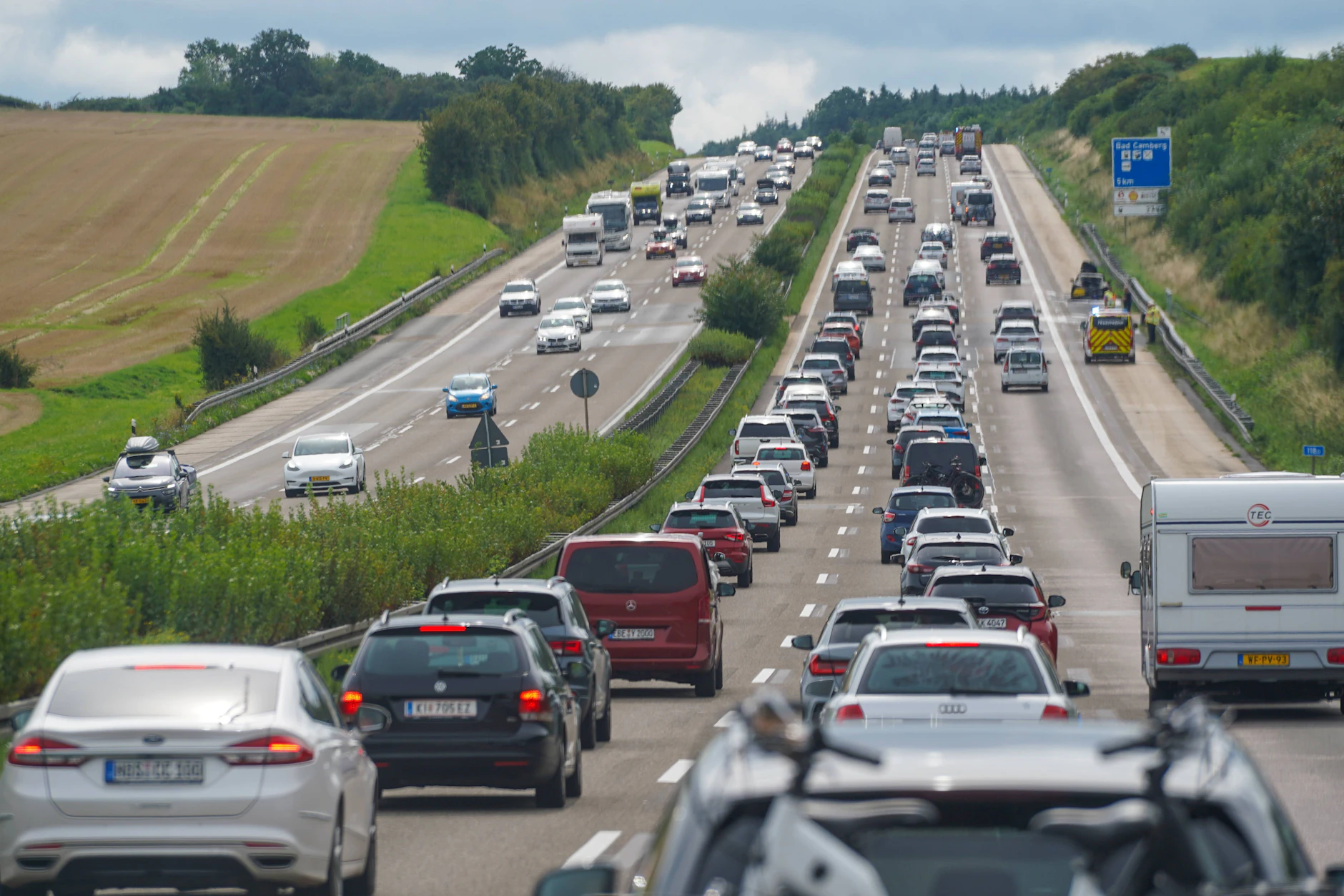 Wer diesen Sommer mit Haustier in den Urlaub fährt, sollte die neuen EU-Regeln kennen – sonst droht an der Grenze ein böses Erwachen.
