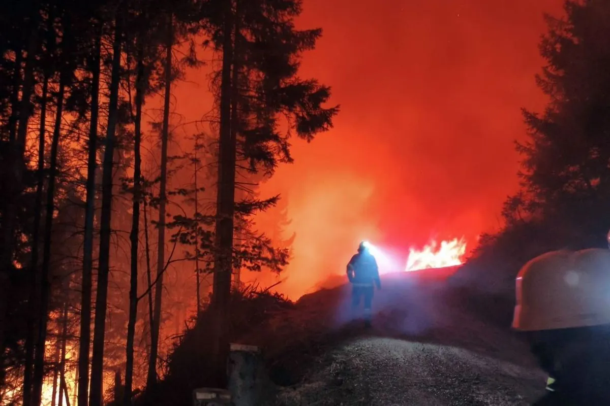 Das anhaltend sonnige Frühlingswetter lässt die Waldbrandgefahr in vielen Regionen Deutschlands deutlich ansteigen.
