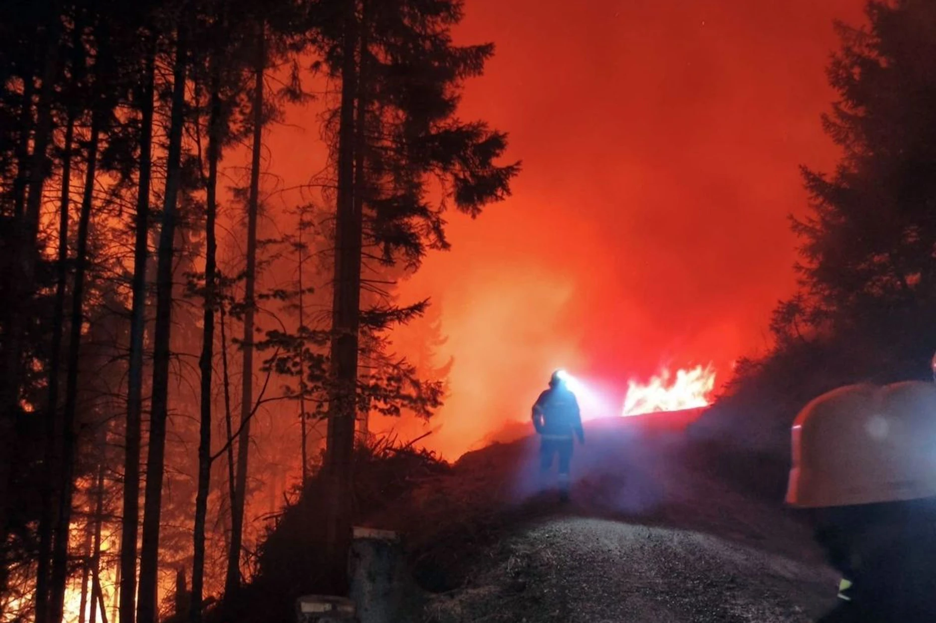 Das anhaltend sonnige Frühlingswetter lässt die Waldbrandgefahr in vielen Regionen Deutschlands deutlich ansteigen.
