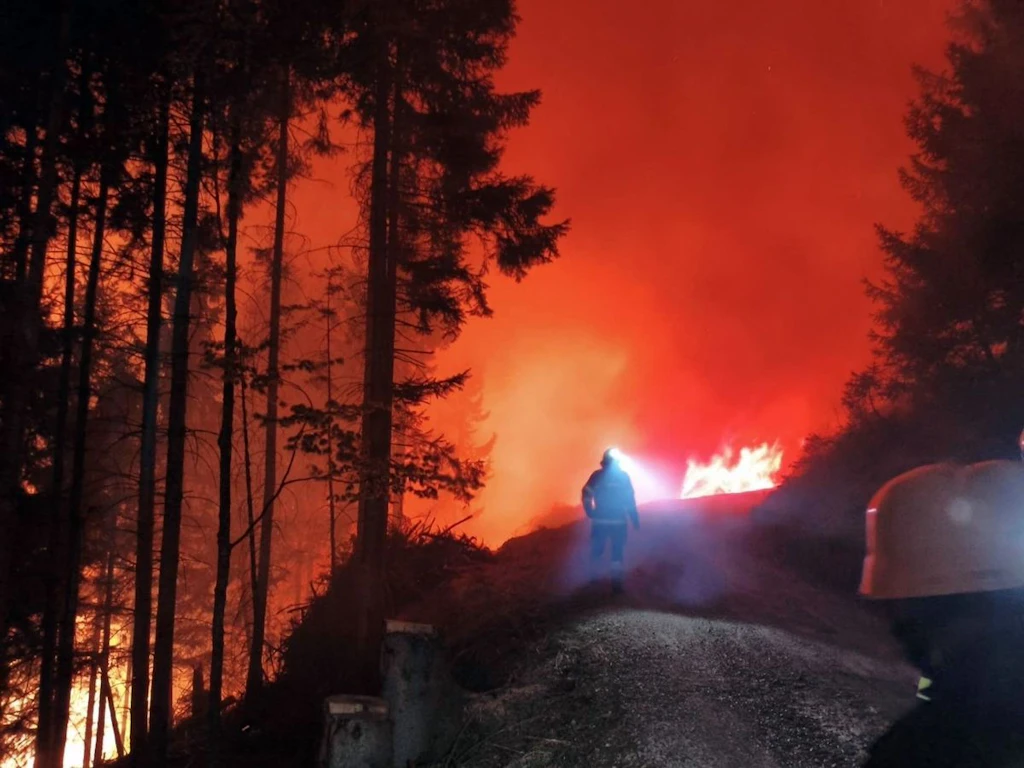 Trockenheit und Hitze: Waldbrandgefahr in Deutschland steigt deutlich