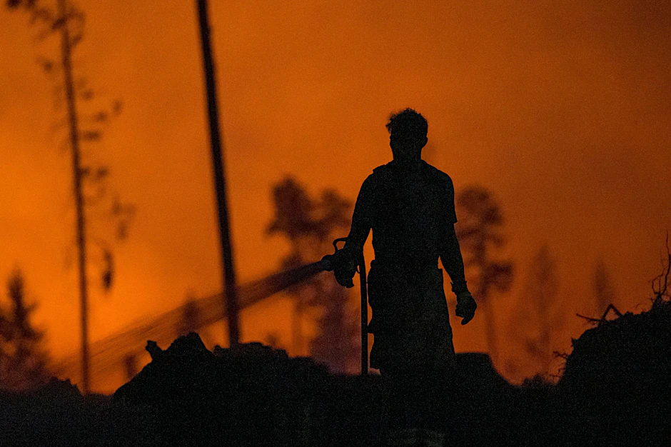 Die Feuerwehr löscht bei einem Waldbrand  in einem Waldstück der Saalfelder Höhe Glutnester. (02.07.2025)