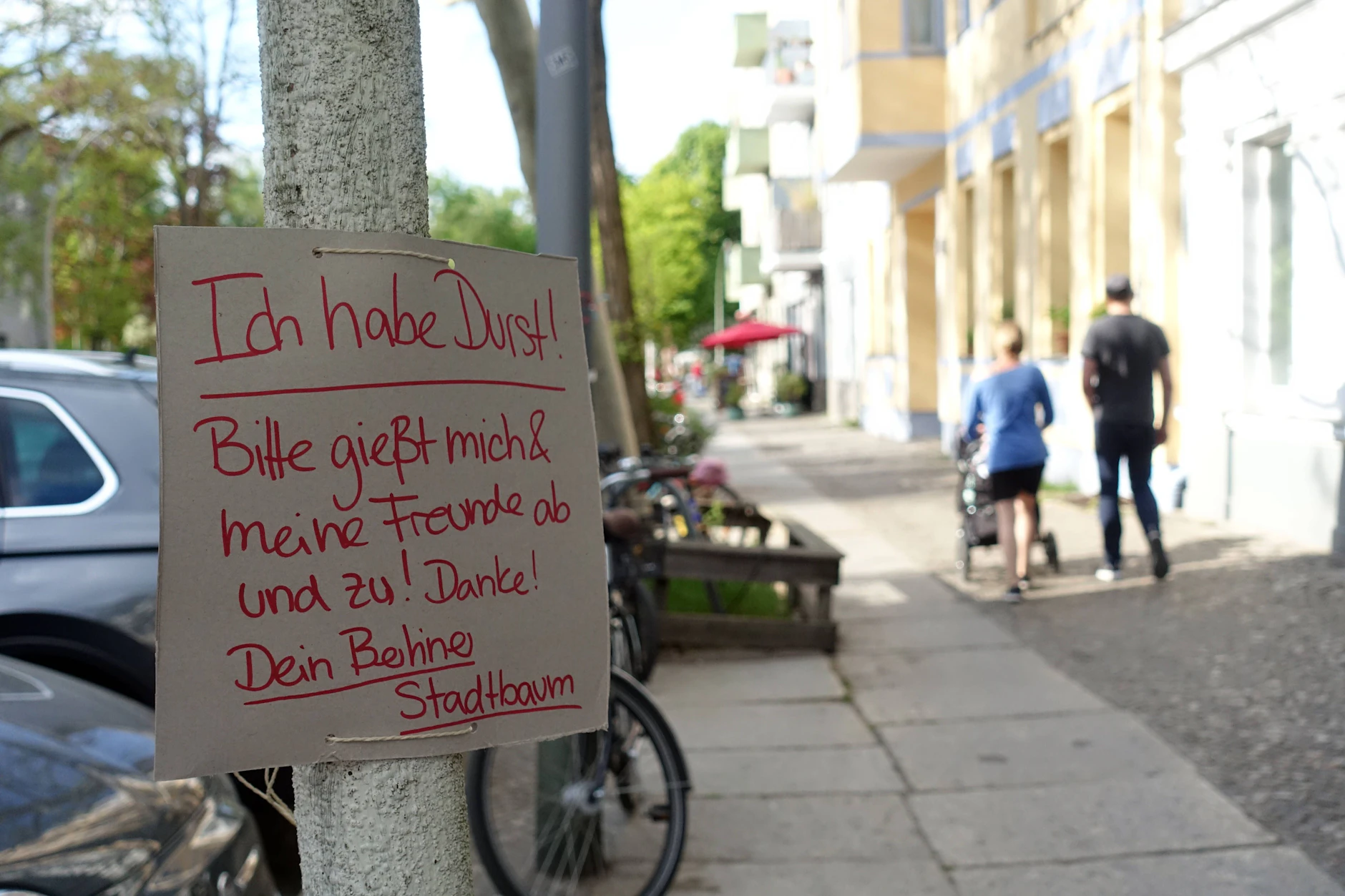 Der Baum vor der Tür freut sich bei Sommerhitze, wenn die Nachbarschaft ihn mit Wasser versorgt.