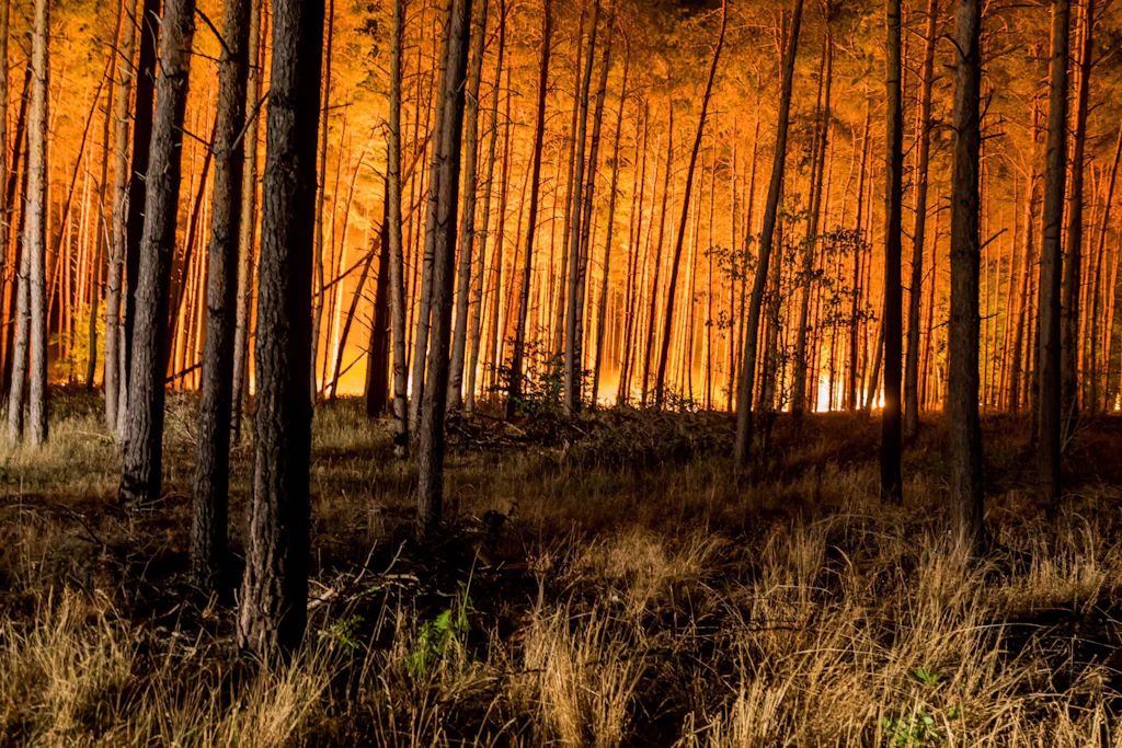 Größter Waldbrand der Saison: Über 30 Hektar brennen südlich von Berlin