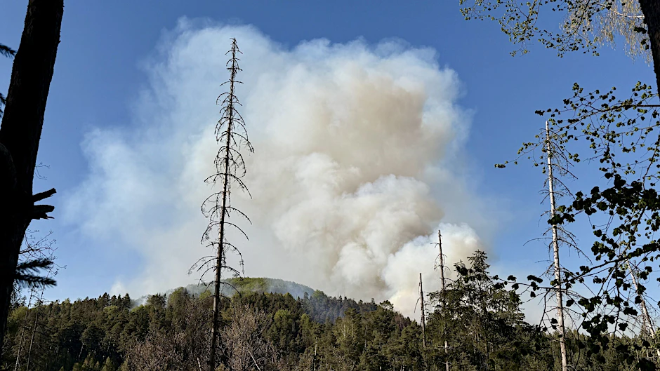 Brand im Nationalpark nahe Sachsen: Die Rauchwolke ist kilometerweit zu sehen