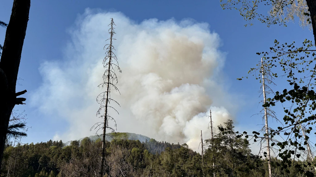 Waldbrand in der Böhmischen Schweiz bei Sachsen: 500 Feuerwehrleute im Einsatz