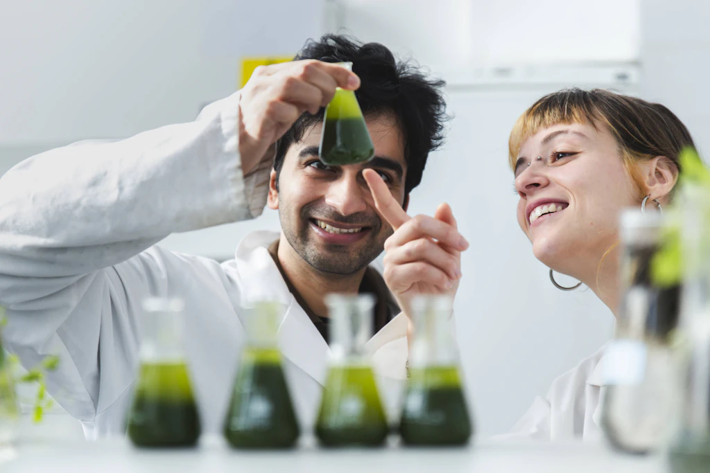Forscher, die mit der Blaualge Spirulina gearbeitet haben, fanden große Mengen B12. (Symbolbild)