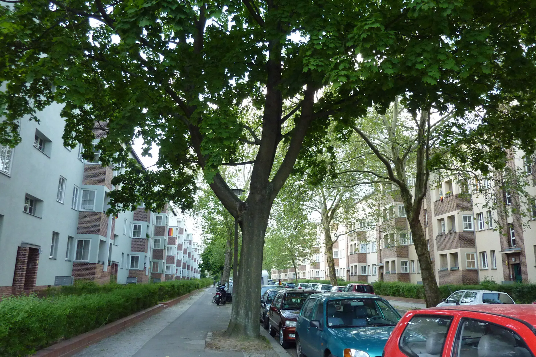 Zu dem Vorfall kam es in der Lincolnstraße. (Symbolbild)