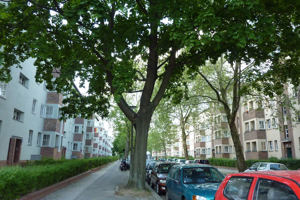 Zu dem Vorfall kam es in der Lincolnstraße. (Symbolbild)
