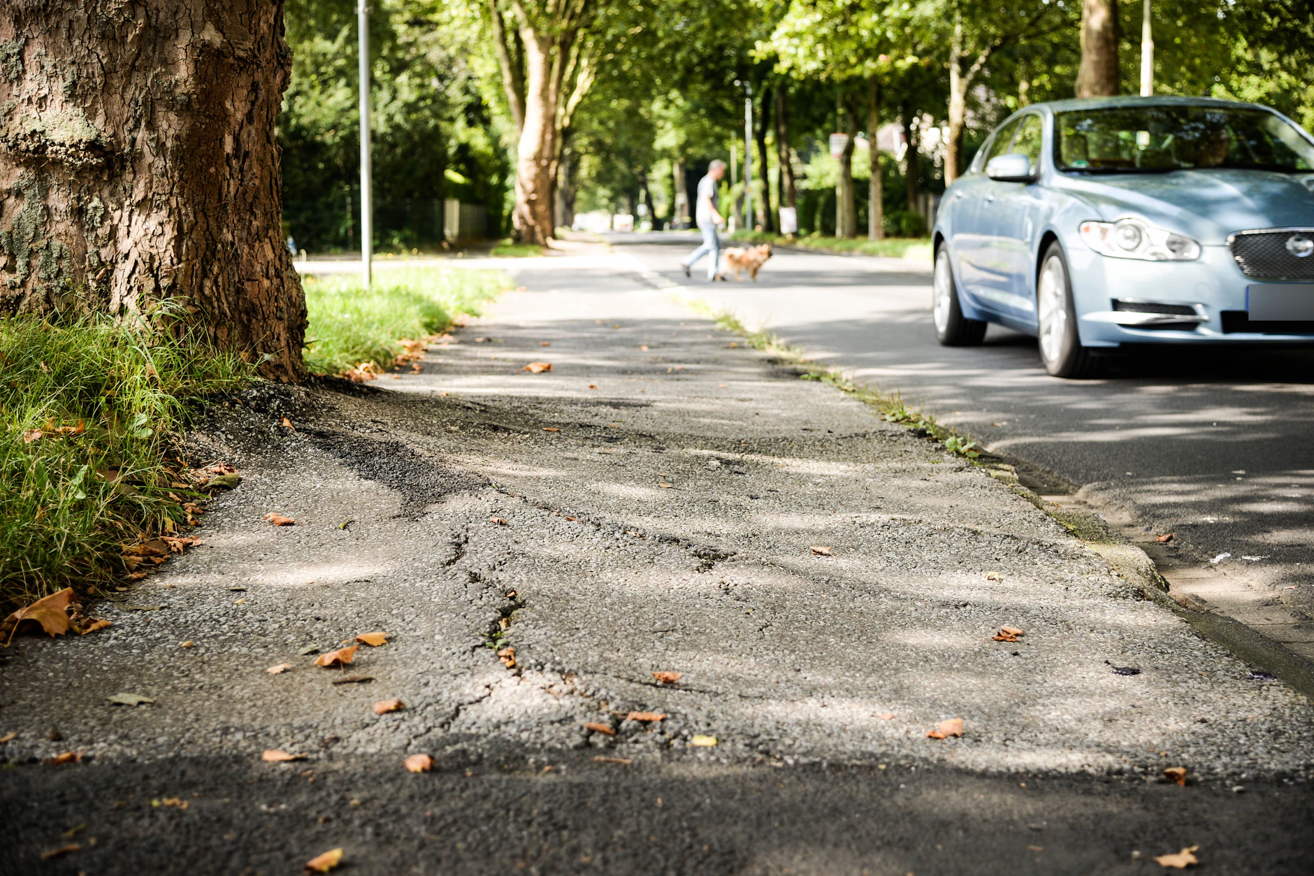 Wurzeln machen den alten Radweg hier zu einer holprigen Angelegenheit. (Symbolbild)