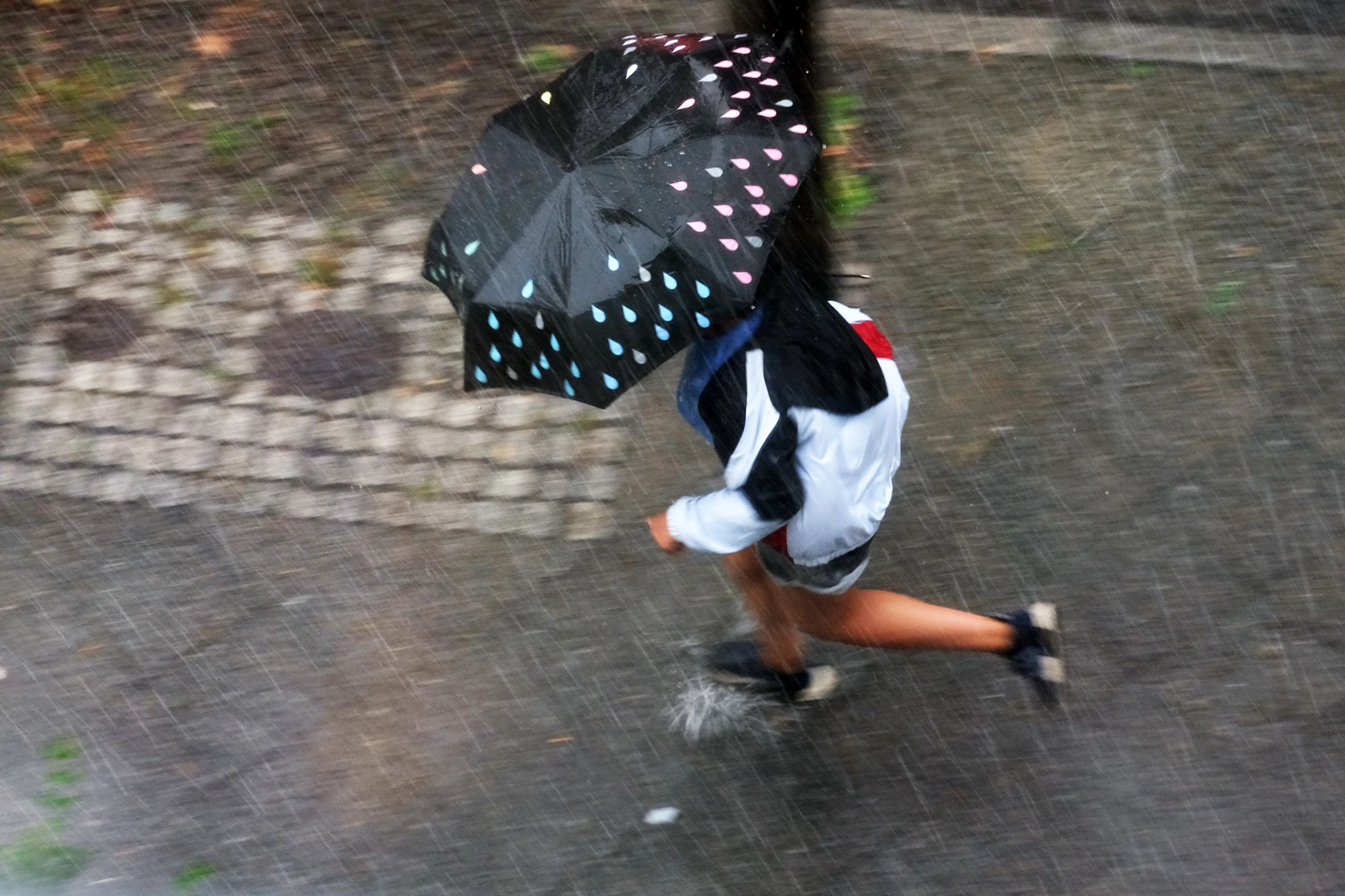 Am Montagnachmittag kann es in Berlin zu Starkregen und Gewitter kommen.