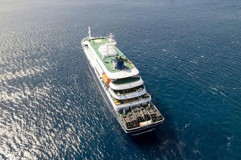 Virus-Alarm auf Kreuzfahrtschiff – ein deutscher Passagier tot