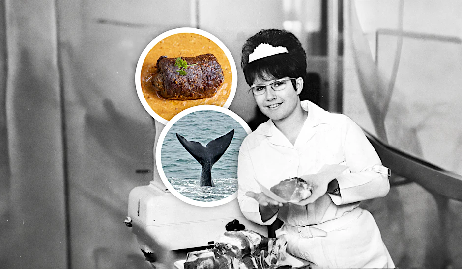 Eine Verkäuferin in einer Verkaufsstelle der HO in der DDR. Hier gab es laut Überlieferung auch Walfleisch. Das wurde in der DDR unter anderem zu Roulade und Gulasch gemacht.