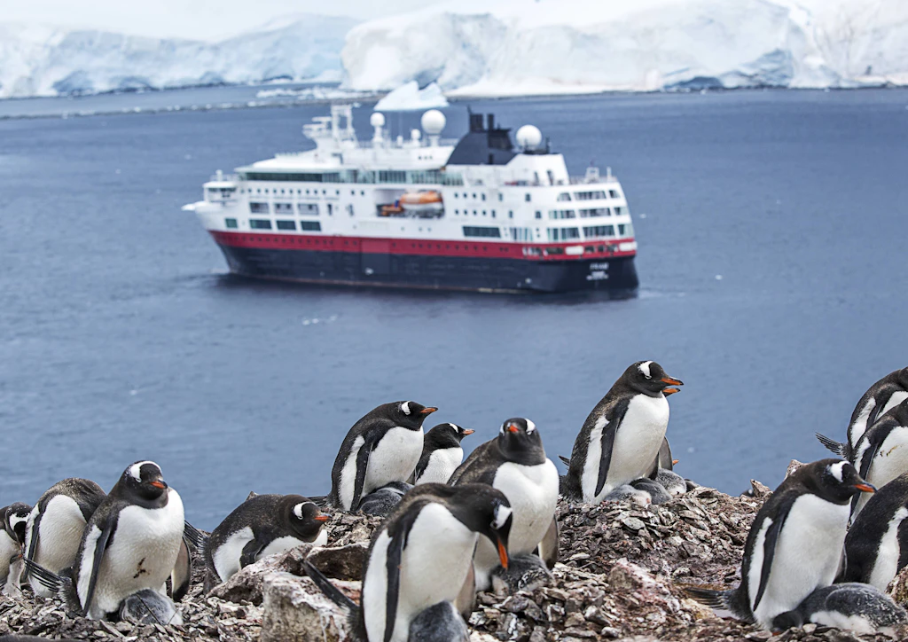 Touristenboom bedroht Antarktis: Wie Menschen Keime und Krankheiten einschleppen