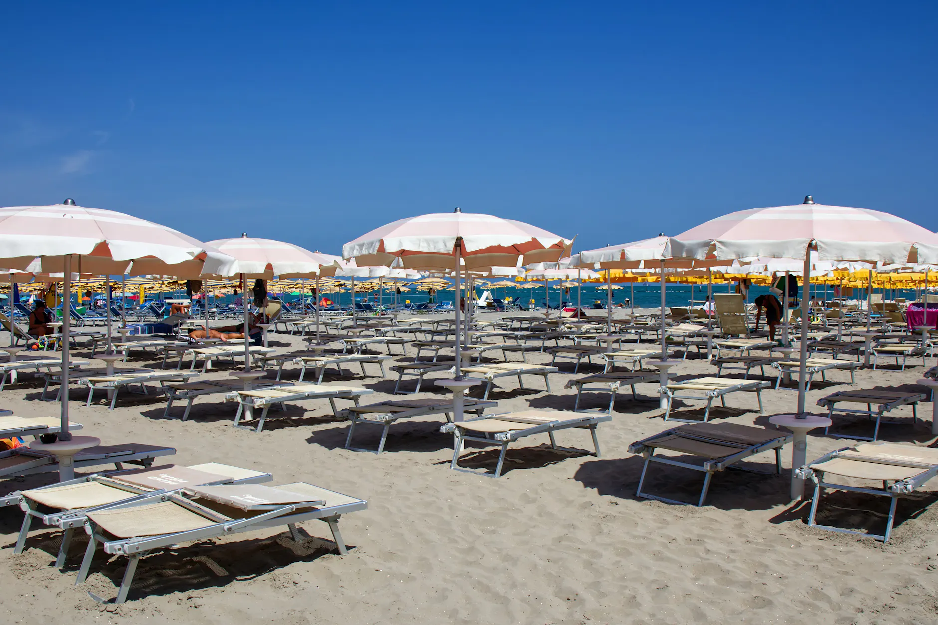 Idyllischer Strand an der Adria – doch in Punta Marina bei Ravenna sorgen 120 wildlebende Pfauen für weniger Urlaubsfrieden.