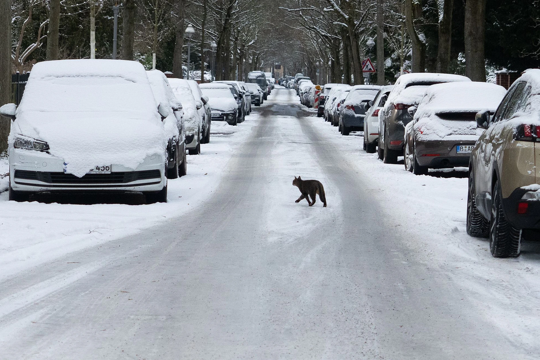 In Berlin gab es im vergangenen Winter viel Schnee - dass es auch hier noch einmal schneit, ist im Mai allerdings mehr als unwahrscheinlich.