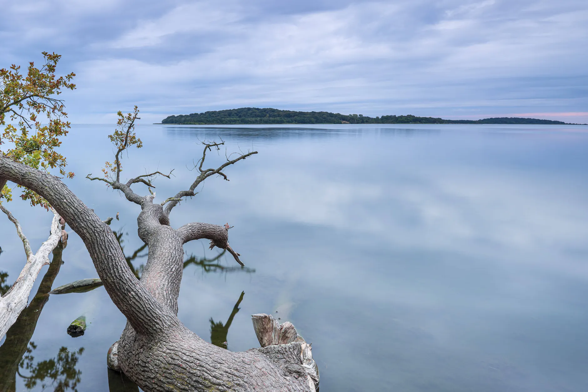 Die kleine Insel Vilm ist nur 2,5 Kilometer lang und liegt vor der Südküste von Rügen. Auf dem abgeschiedenen Eiland machte der Ministerrat der DDR Urlaub.