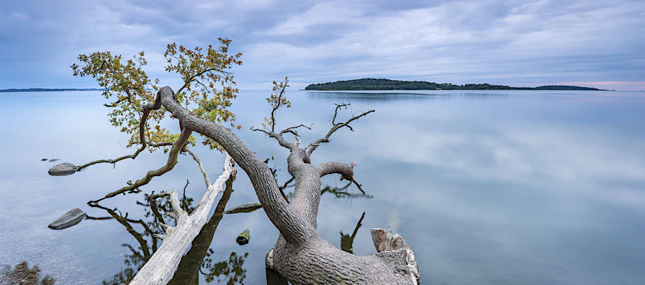 Südlich von Rügen liegt die Insel, die die DDR versteckte – und die Natur zurückeroberte.