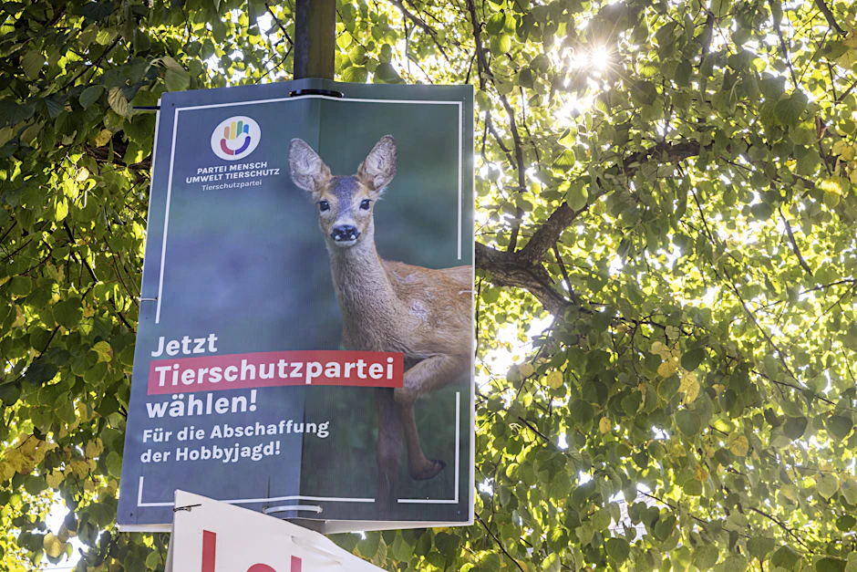 Die Tierschutzpartei sah sich bei der Kreistagswahl 2024 im Landkreis Dahme-Spreewald benachteiligt. Das Verwaltungsgericht Cottbus gab der Partei nun Recht.
