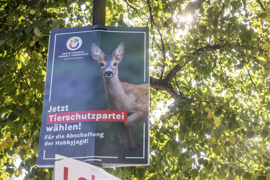 Tierschutzpartei erreicht teilweise Wiederholung der Kreistagswahl in Dahme-Spreewald