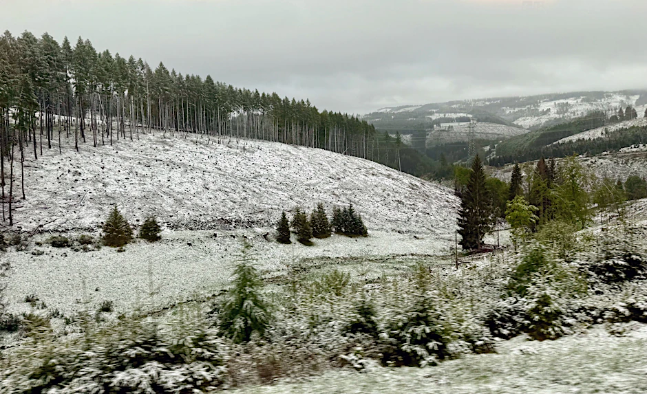 Pünktlich zu den Eisheiligen liegt eine dünne Schneedecke auf dem Thüringer Wald. (12.05.2026, Thüringen, Masserberg)