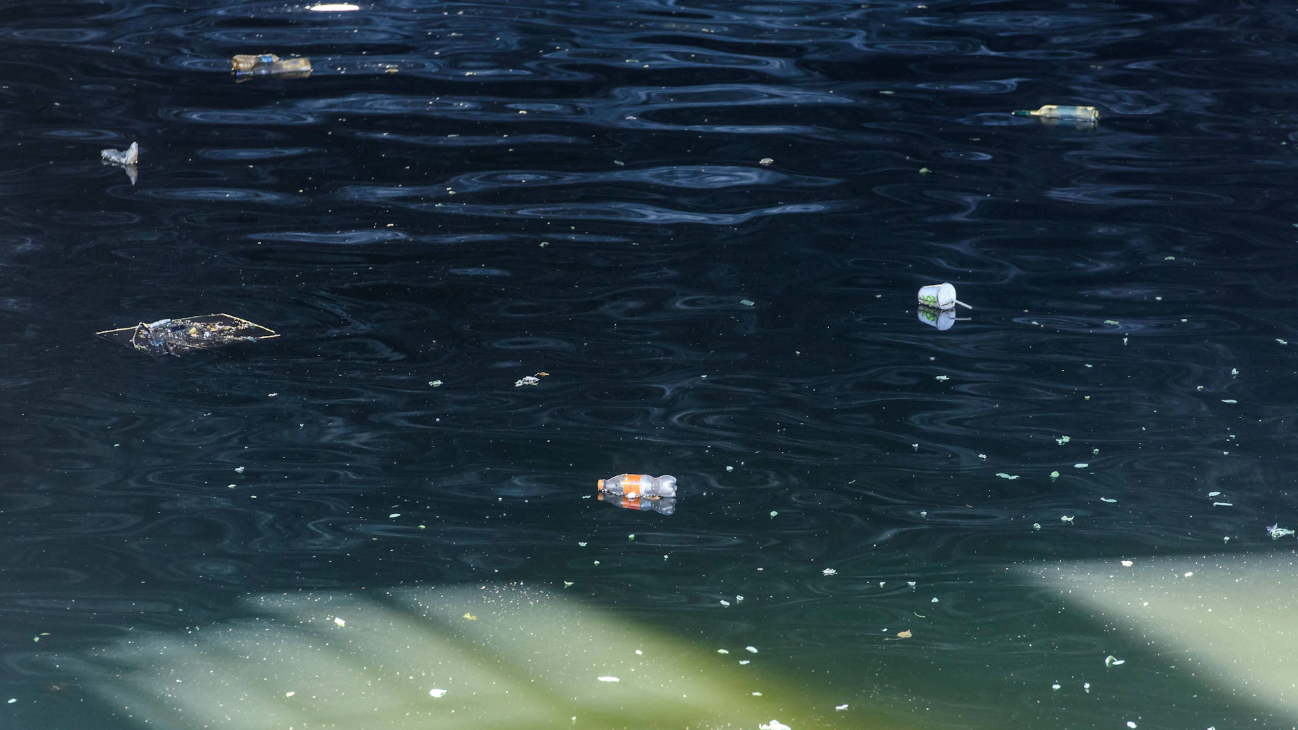 BerlinPay soll dazu animieren, die Spree zu reinigen.