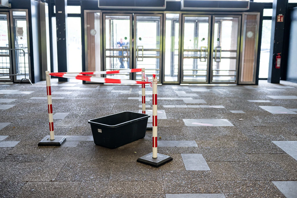 Exzellente Bäume statt Bildung: Wie Berlin seinen wichtigsten Rohstoff verschleudert