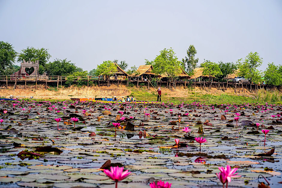 In der thailändischen Region Chaiyaphum wurden die Fossile des Nagatitan an einem Teich gefunden.