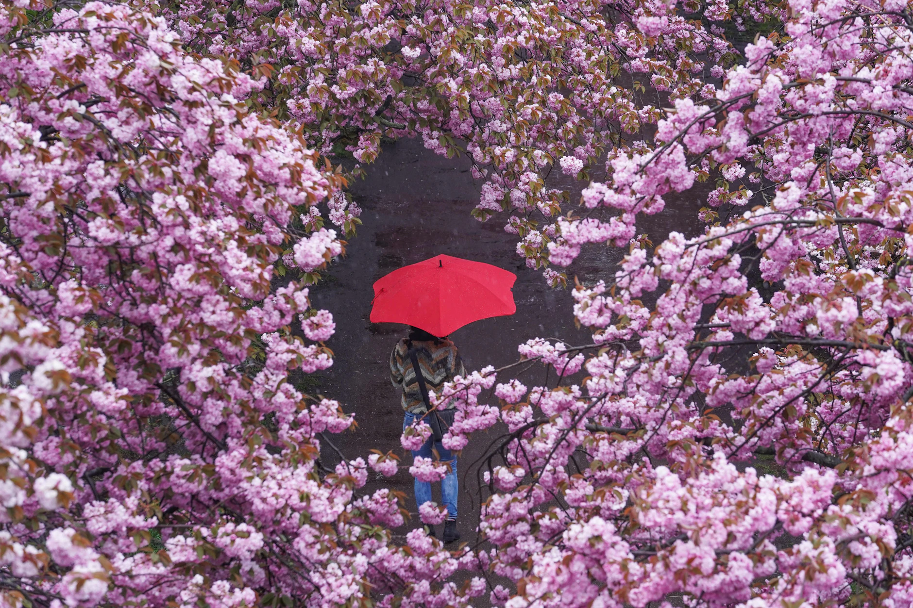 Der Frühling ist in Deutschland eher verregnet. Auch der Herrentag fällt jetzt für viele komplett ins Wasser. Regional soll es sogar Gewitter geben.