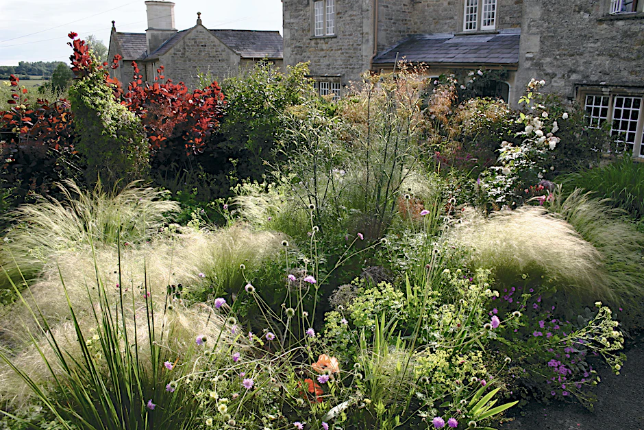 Im südenglischen Coleshill legte Isabelle Van Groeningen diesen wunderbaren Garten an – das zarte Federgras 	 	 	„Stipa tenuissima“ schafft auch in unseren Breiten schöne Lichtstimmungen.