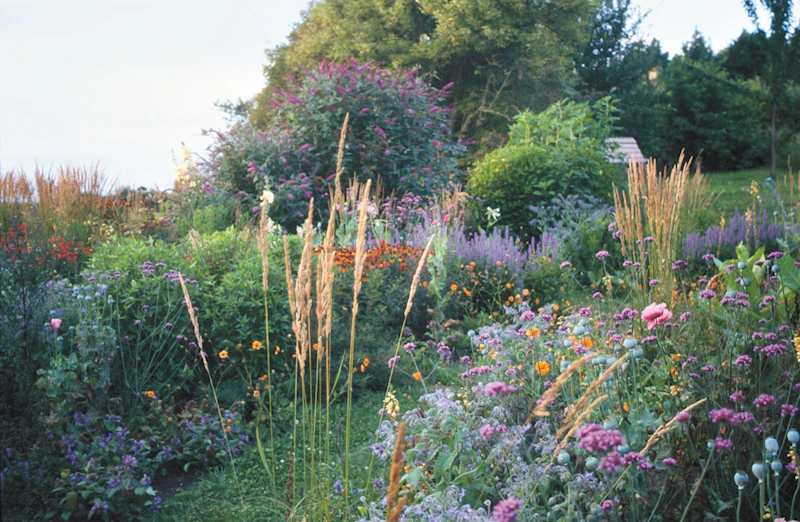 Wie bei Rosamunde Pilcher: So wird ihr Garten zum englischen Cottage-Paradies
