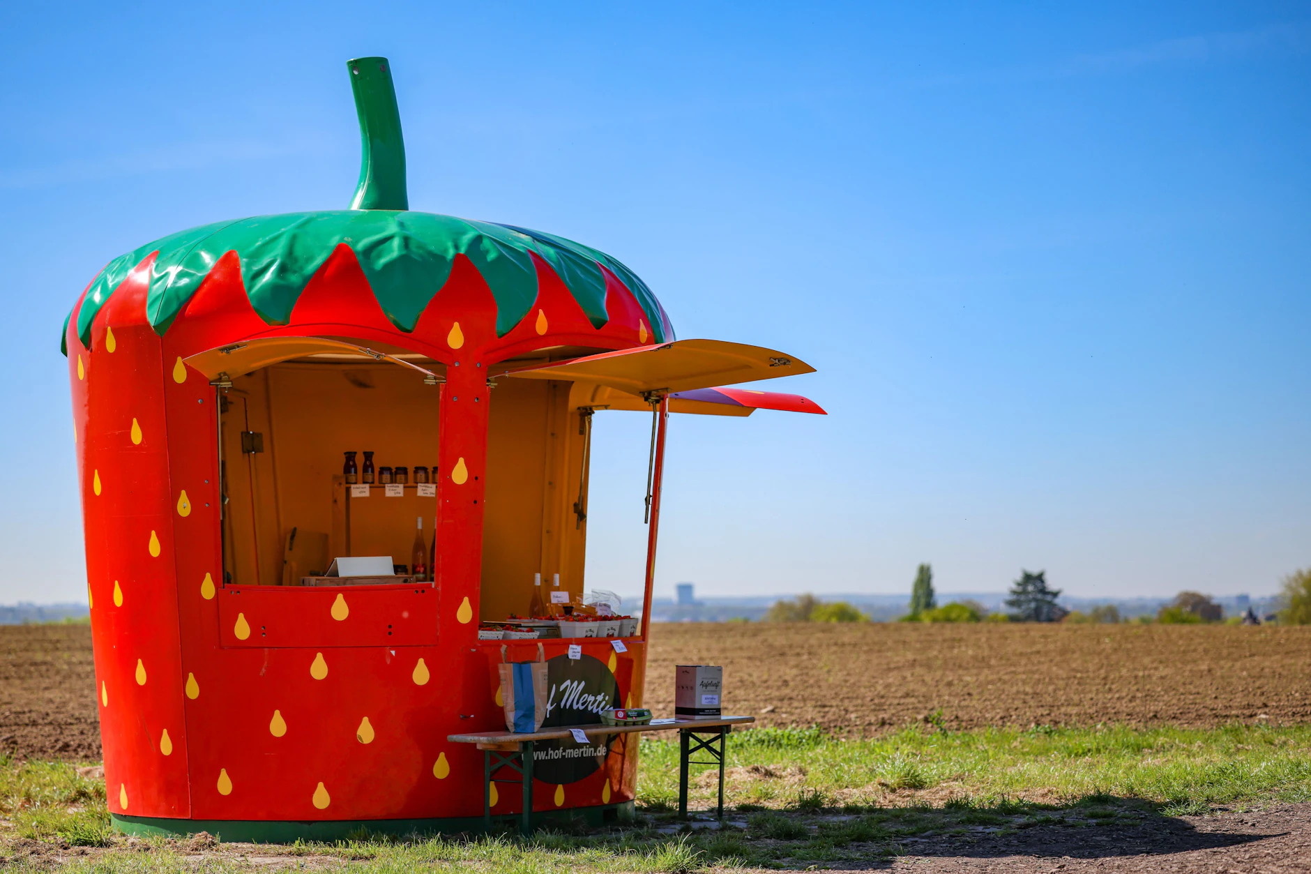 An den ersten Verkaufsständen für Erdbeeren wurden die Geschäfte bereits aufgenommen. Doch die Preise fallen in diesem Jahr wieder höher aus.