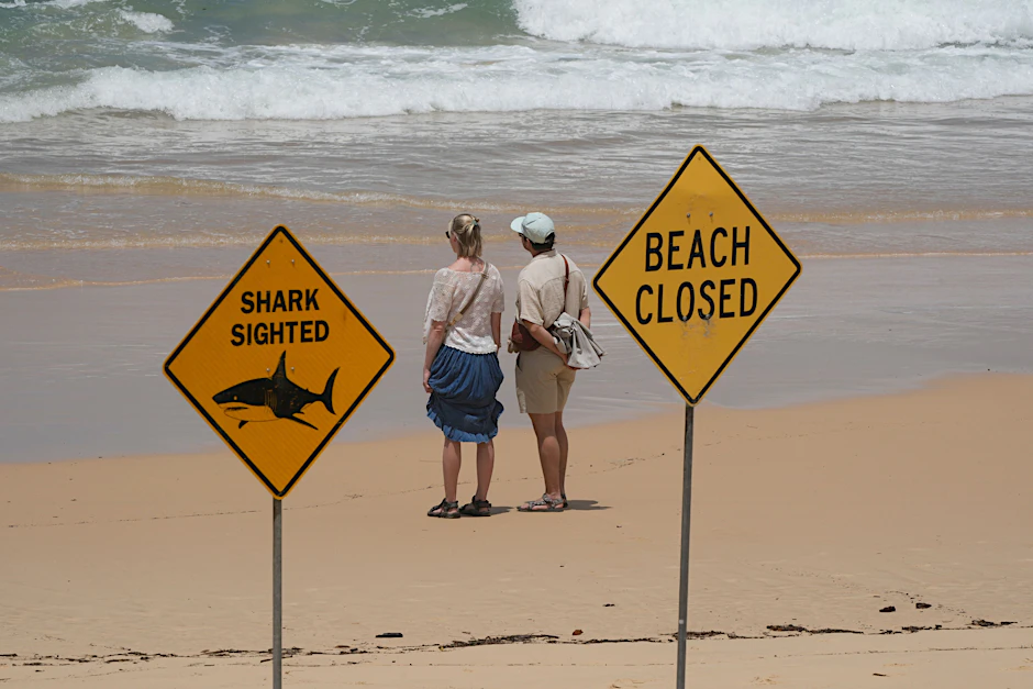 Ein Schild warnt vor Hai-Sichtungen am North Steyne Beach in Sydney, Australien