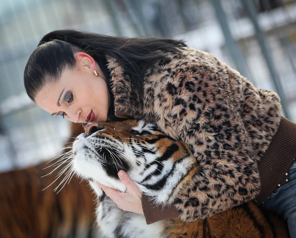 Entlaufener Tiger bei Leipzig von Polizei erschossen – Mann schwer verletzt