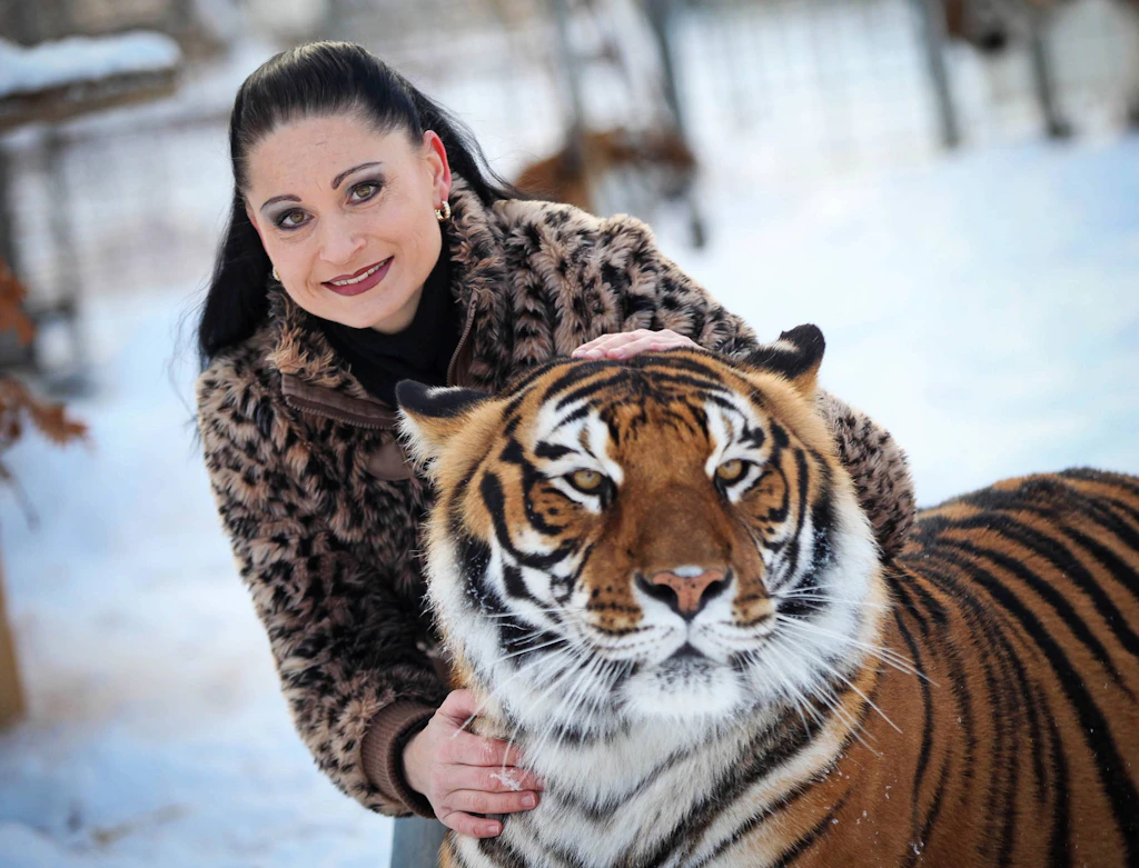 Tiger entkommt aus Gehege bei Leipzig und verletzt Pfleger schwer: „Ich habe drei Schüsse gehört“