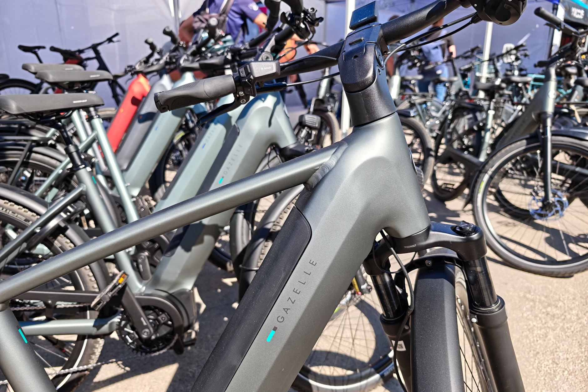 E-Bikes erfreuen sich in Deutschland immer größerer Beliebtheit.