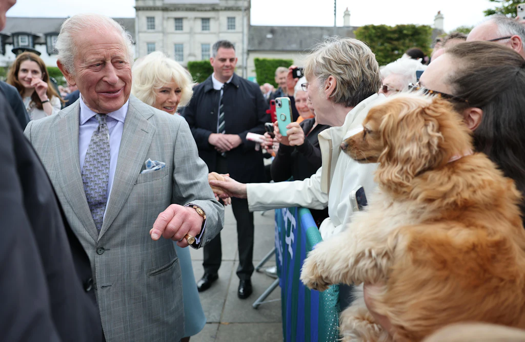Möwe scheißt auf König Charles III.