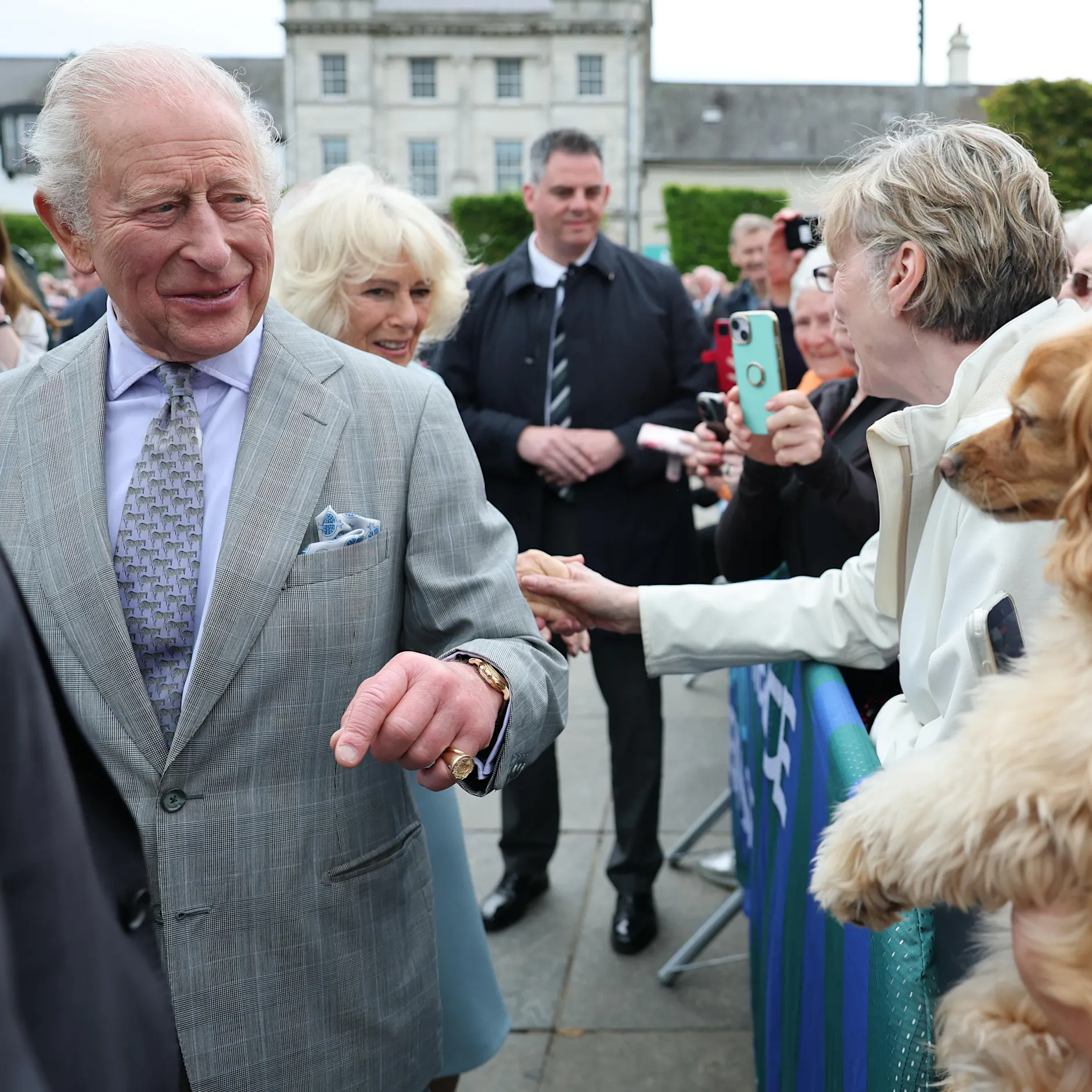 König Charles III.: Möwenklecks bei Termin in Nordirland