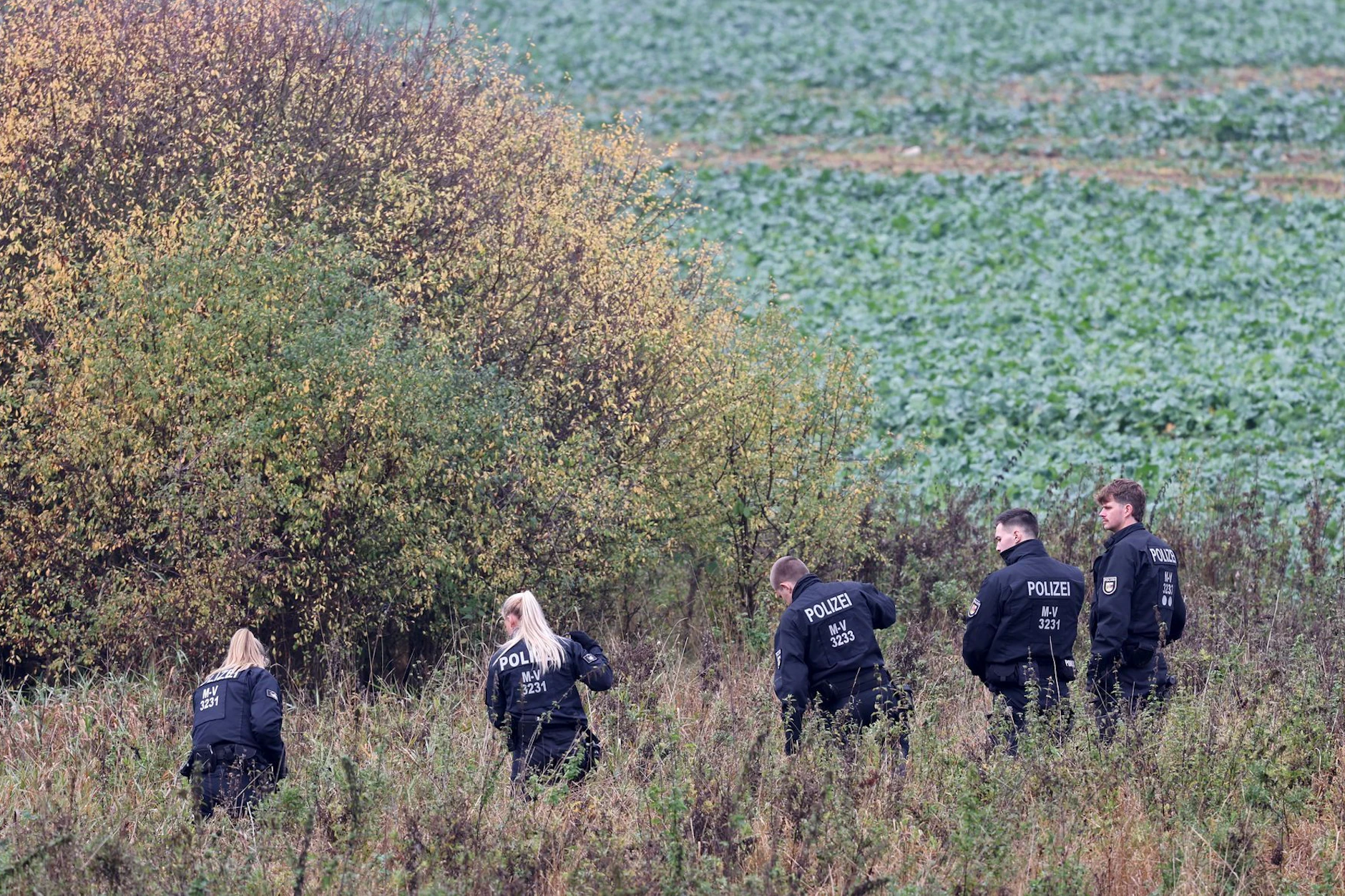 Die Leiche des kleinen Fabian wurde an einem Tümpel bei Klein Upahl gefunden. Seine sterblichen Überreste wurden verbrannt. Vermutlich wollte der Täter oder die Täterin damit Spuren verwischen.