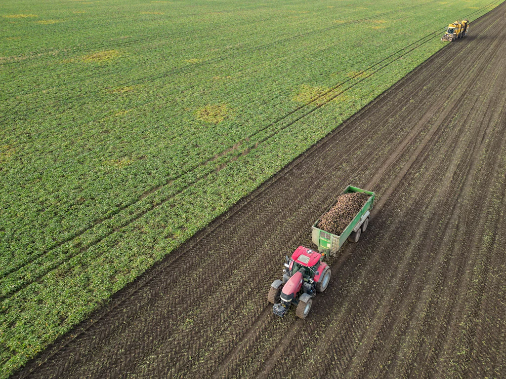Studie zur EU-Agrarreform: Forscher warnen vor Strukturbruch in Ostdeutschland