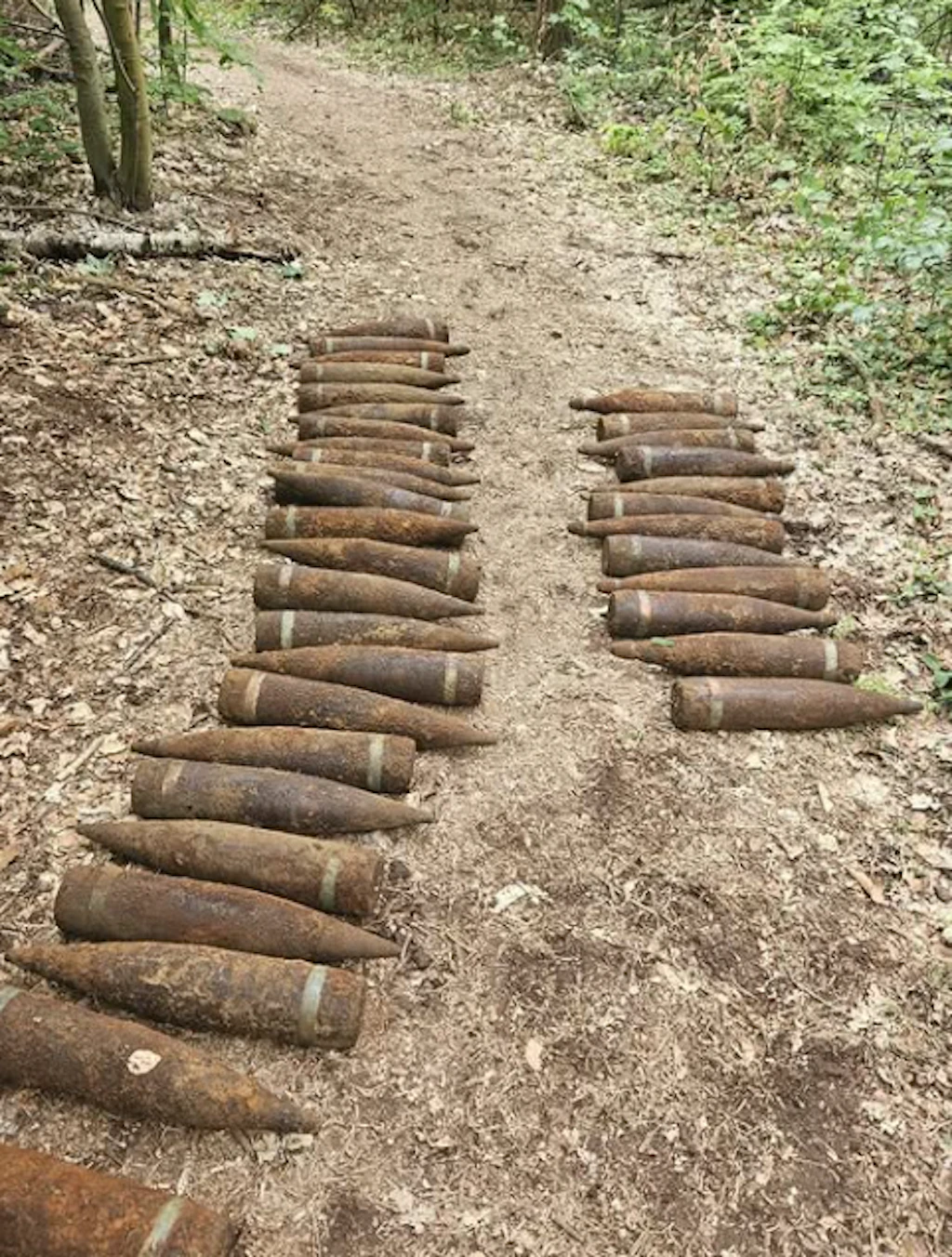 Insgesamt 59 Granaten wurden im Wald von Pankow gefunden.