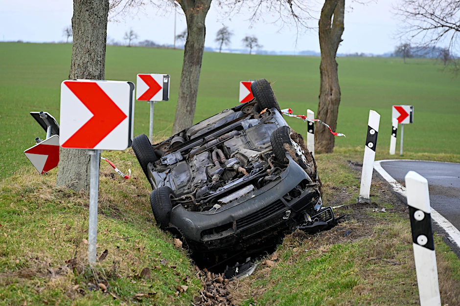 Wer durch ein Insekt im Auto die Kontrolle über das Fahrzeug verliert, landet schnell im Straßengraben. Immer wieder werden so Unfälle ausgelöst (Symbolfoto).