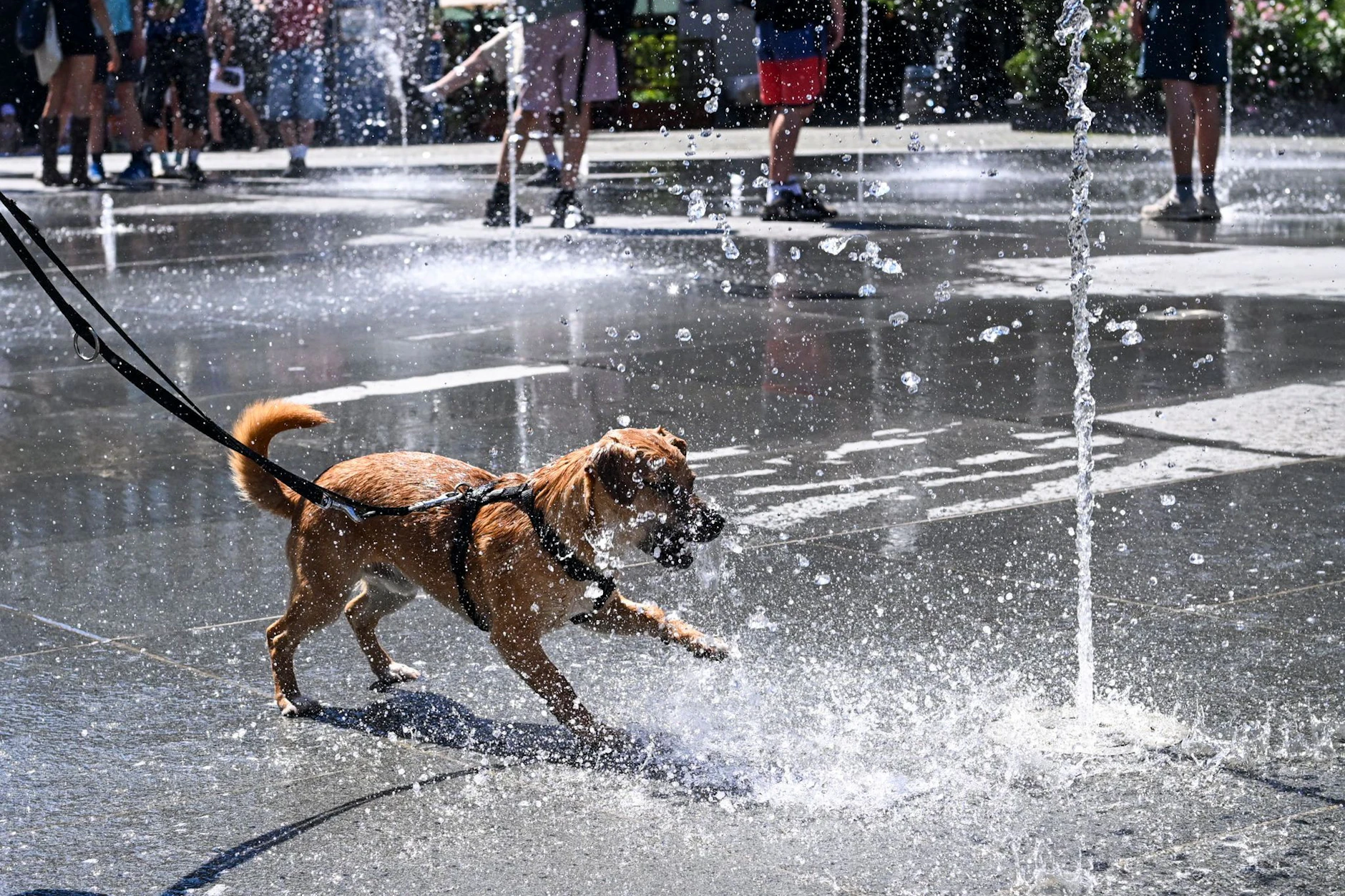 Über die Pfingsttage wird es in ganz Deutschland heiß, die ersten Sommertage des Jahres stehen an. Was bedeutet das für das Wetter im übrigen Jahr?