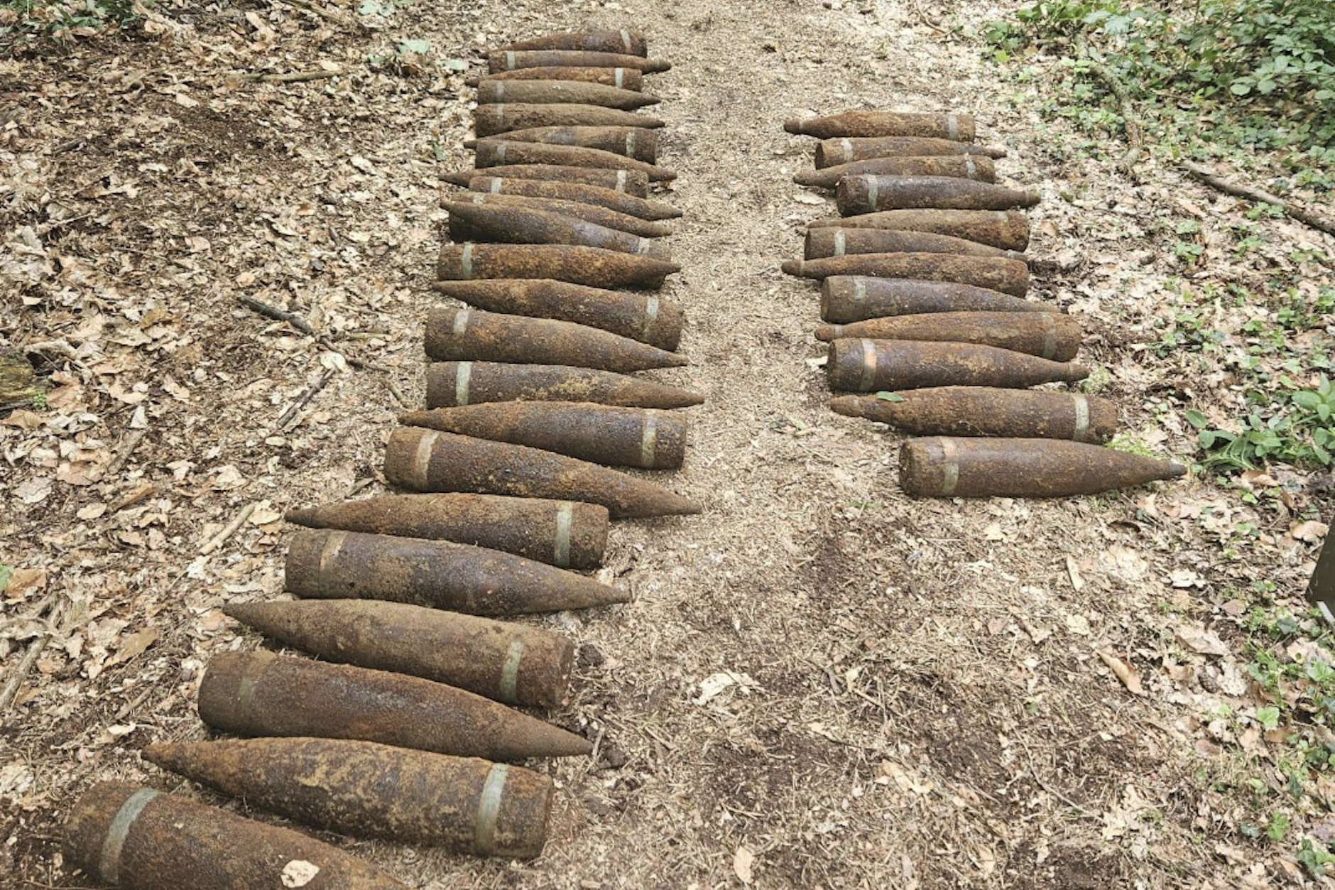 Was für ein Irrer Fund: In einem Wald in Pankow fand ein Spaziergänger Weltkriegsmunition.