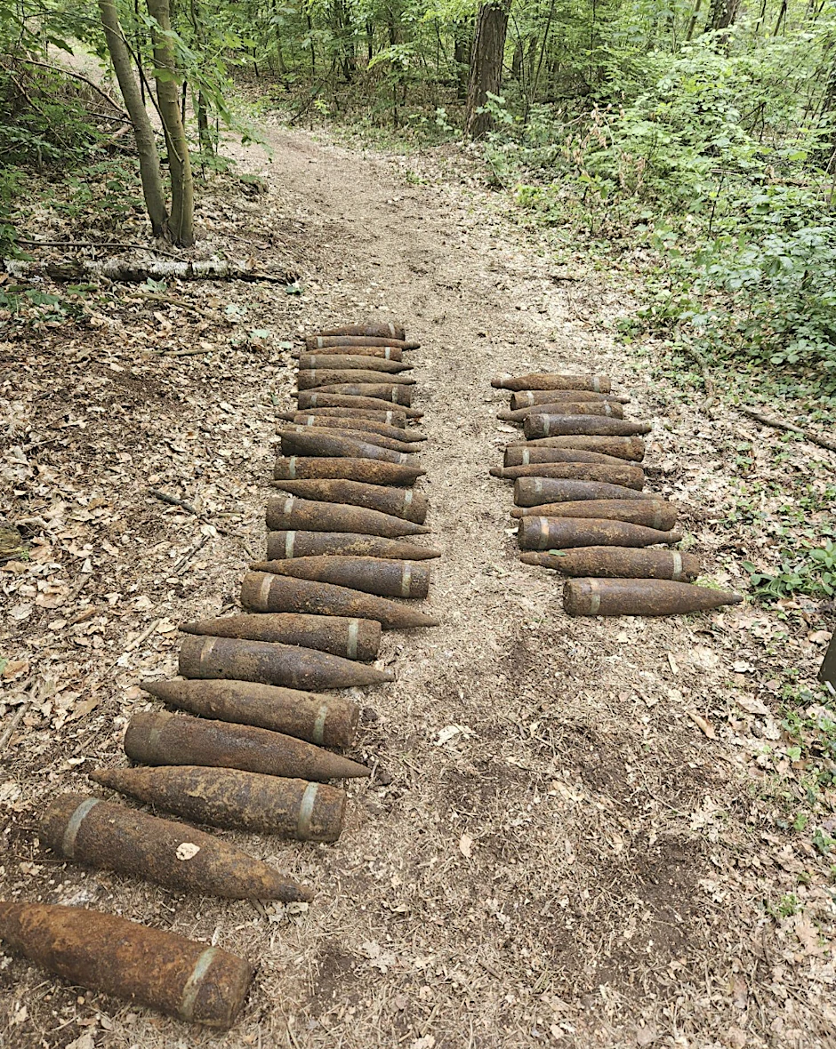 Was für ein Irrer Fund: In einem Wald in Pankow fand ein Spaziergänger Weltkriegsmunition.