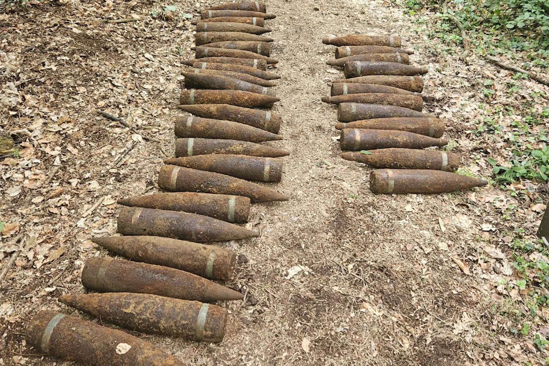 59 Weltkriegs-Granaten im Pankower Wald in Berlin entdeckt