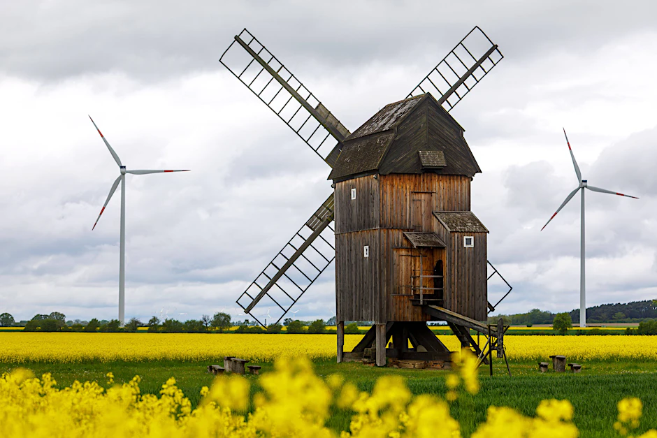 Die Bockwindmühle Trebbus zählt zu den historischen Mühlen, die am Deutschen Mühlentag ihre Türen öffnen und Einblicke in das traditionelle Müllerhandwerk geben.