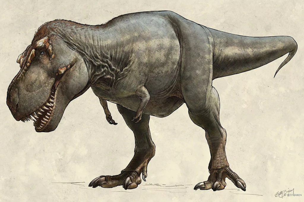 Der schwerste T-Rex, der je gefunden wurde, soll einst um die 8,8 Tonnen gewogen haben. Entdeckt wurde sein Skelett 1991 in Kanada. Hier fallen die winzigen Ärmchen besonders auf.