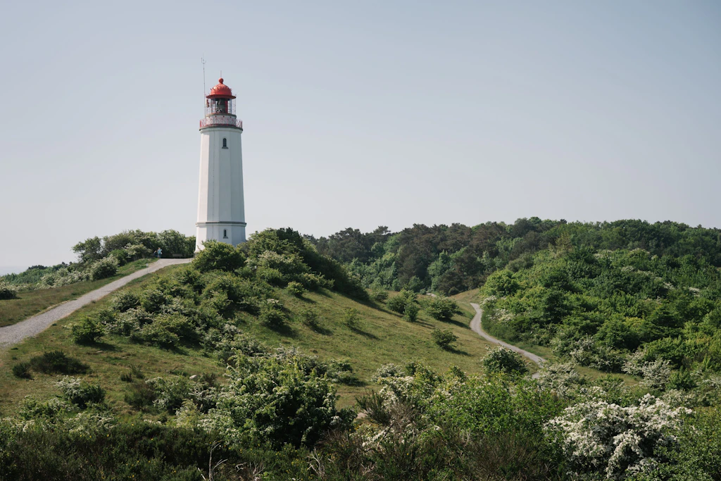 Die Ostdeutsche Allgemeine wächst weiter: Start in Mecklenburg-Vorpommern