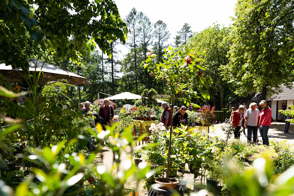 Raritäten auf der Rennbahn: Gartenmesse zeigt Kiwis aus Sachsen und Blüten aus Brandenburg